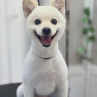 画像1015