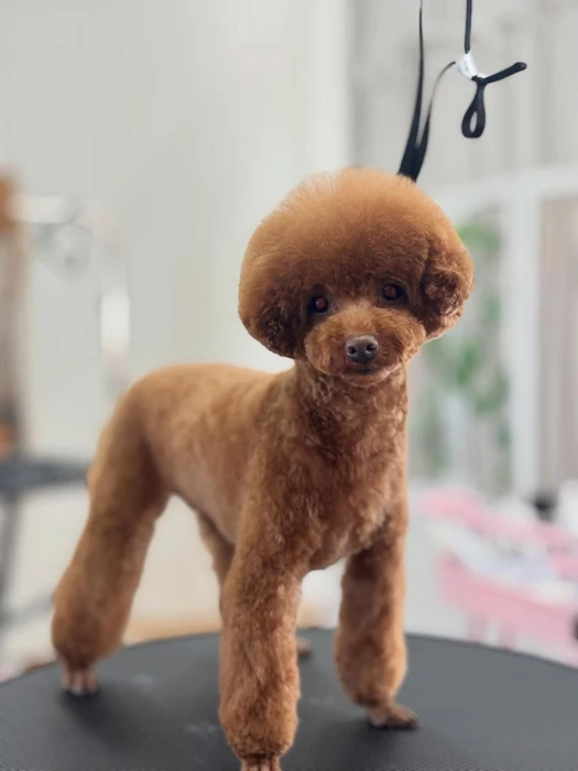 画像1035