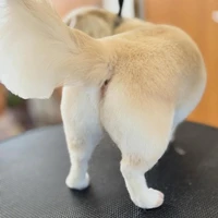 画像1041
