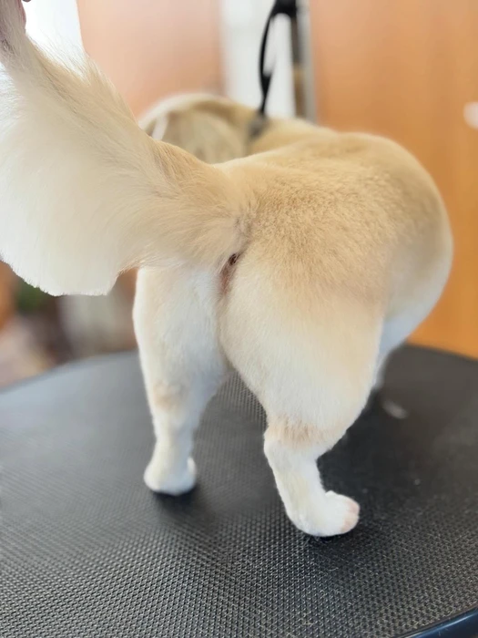 画像1041