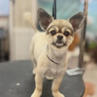 画像1061