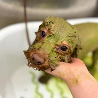 画像1116
