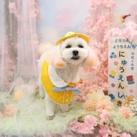 画像1169