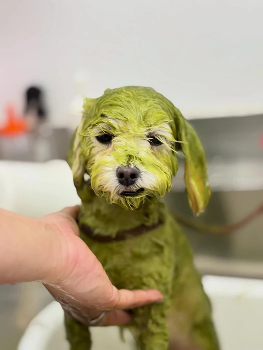 画像1171