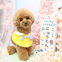 画像1191