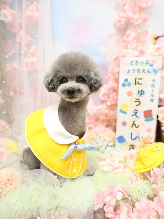 画像1207
