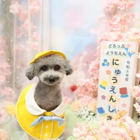画像1208