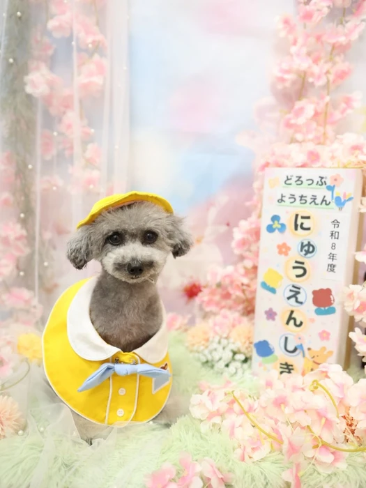 画像1208