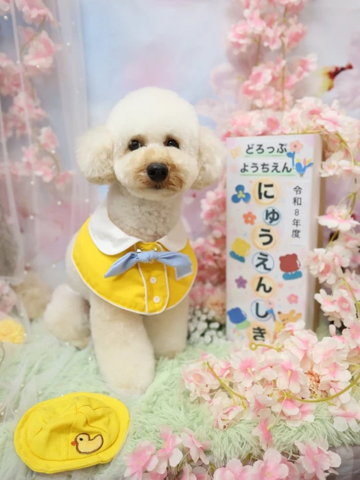 画像1212