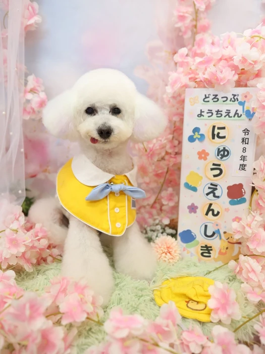 画像1223
