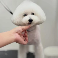 画像1228