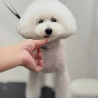 画像1230