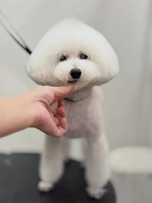 画像1230