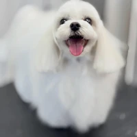 画像1238