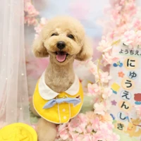 画像1242