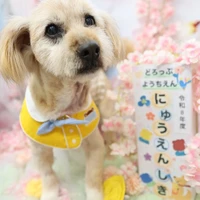 画像1247