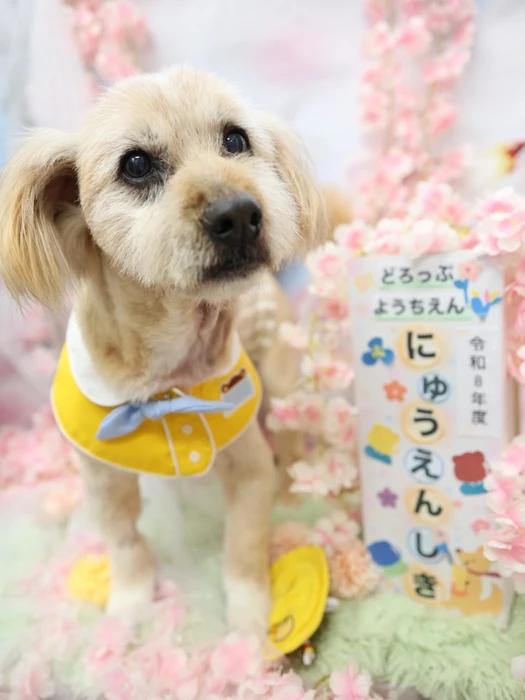 画像1247