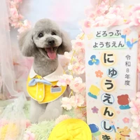 画像1253
