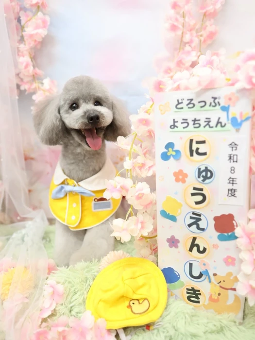 画像1253