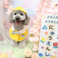画像1254