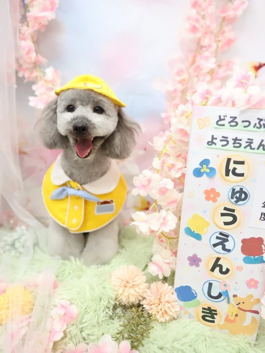 画像1254