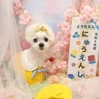 画像1274