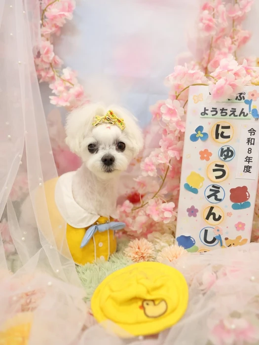 画像1274