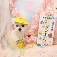 画像1275