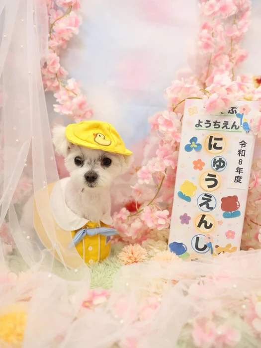 画像1275
