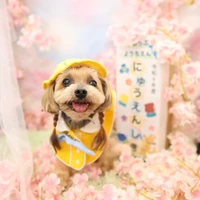 画像1304