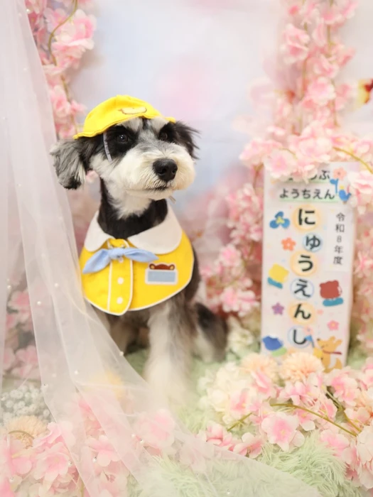 画像1311
