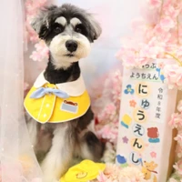 画像1316
