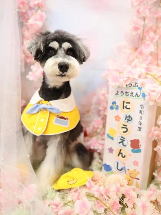 画像1316