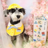 画像1317