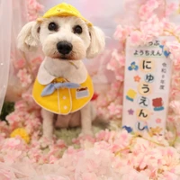画像1334