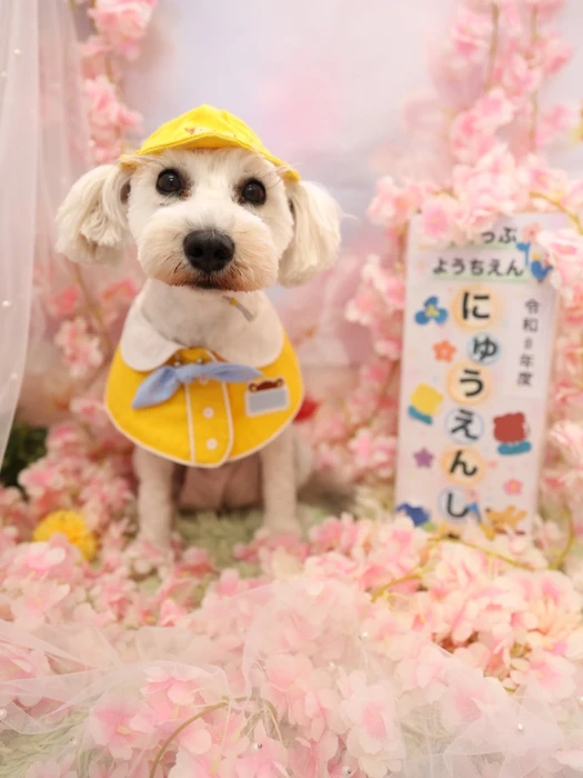 画像1334