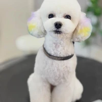 画像1374