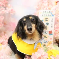 画像1402