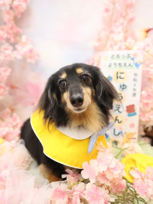 画像1402