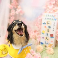 画像1403