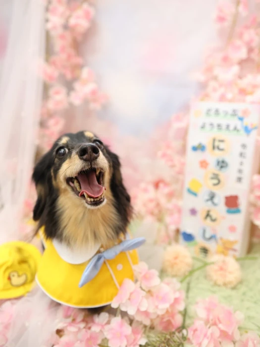 画像1403