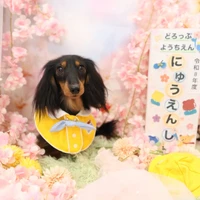 画像1409