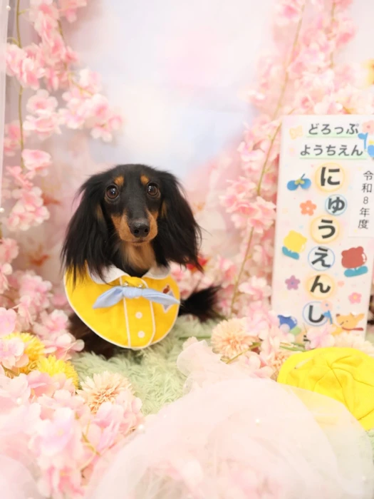 画像1409