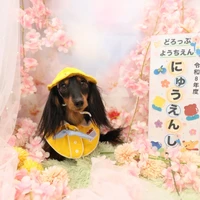 画像1410