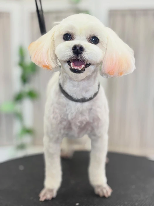 画像1457