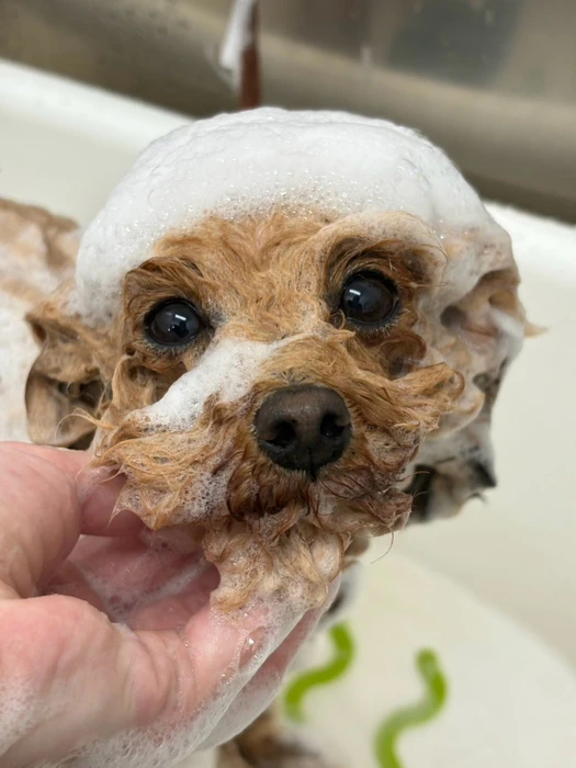 画像1503