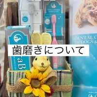 画像1700