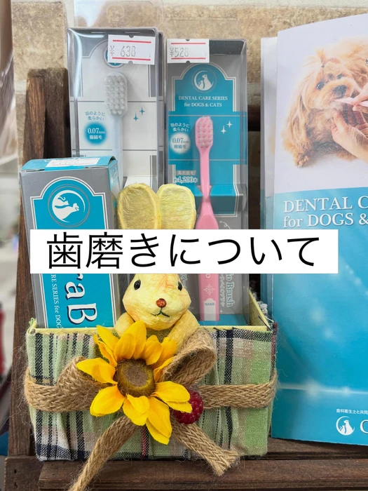 画像1700