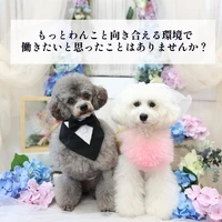 画像1733