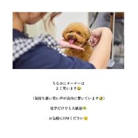 画像1737